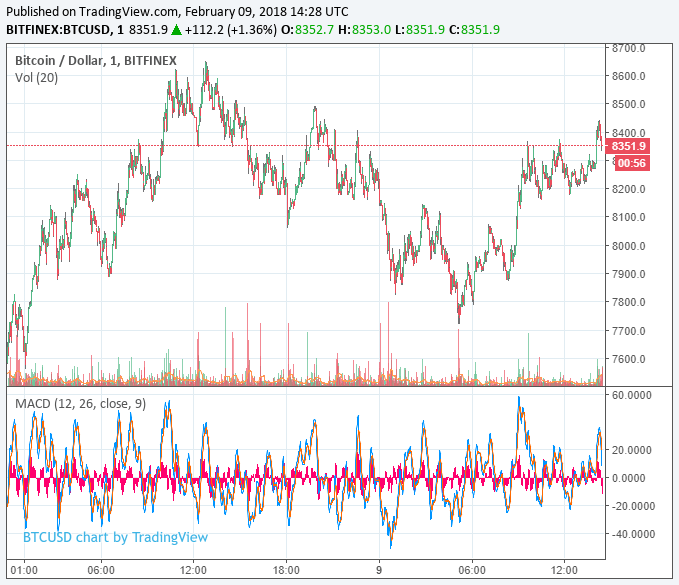 new-bitcoin-price-feb9.png