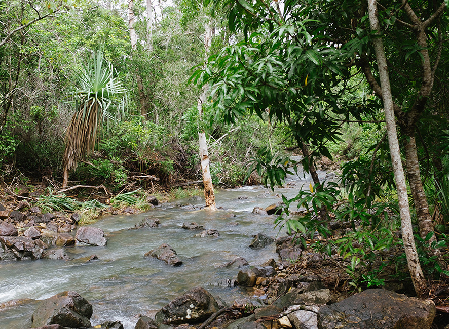 waterfall6.jpg