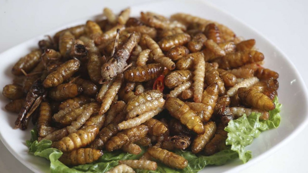 Ulat goreng sajian tradisi natal di Afrika Selatan