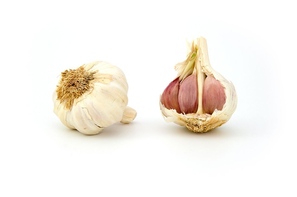 garlic --.jpg