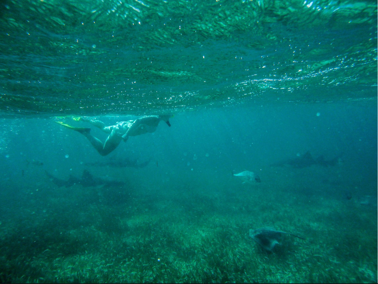 Screenshot-2018-2-23 (19) Eva Luna.jpg