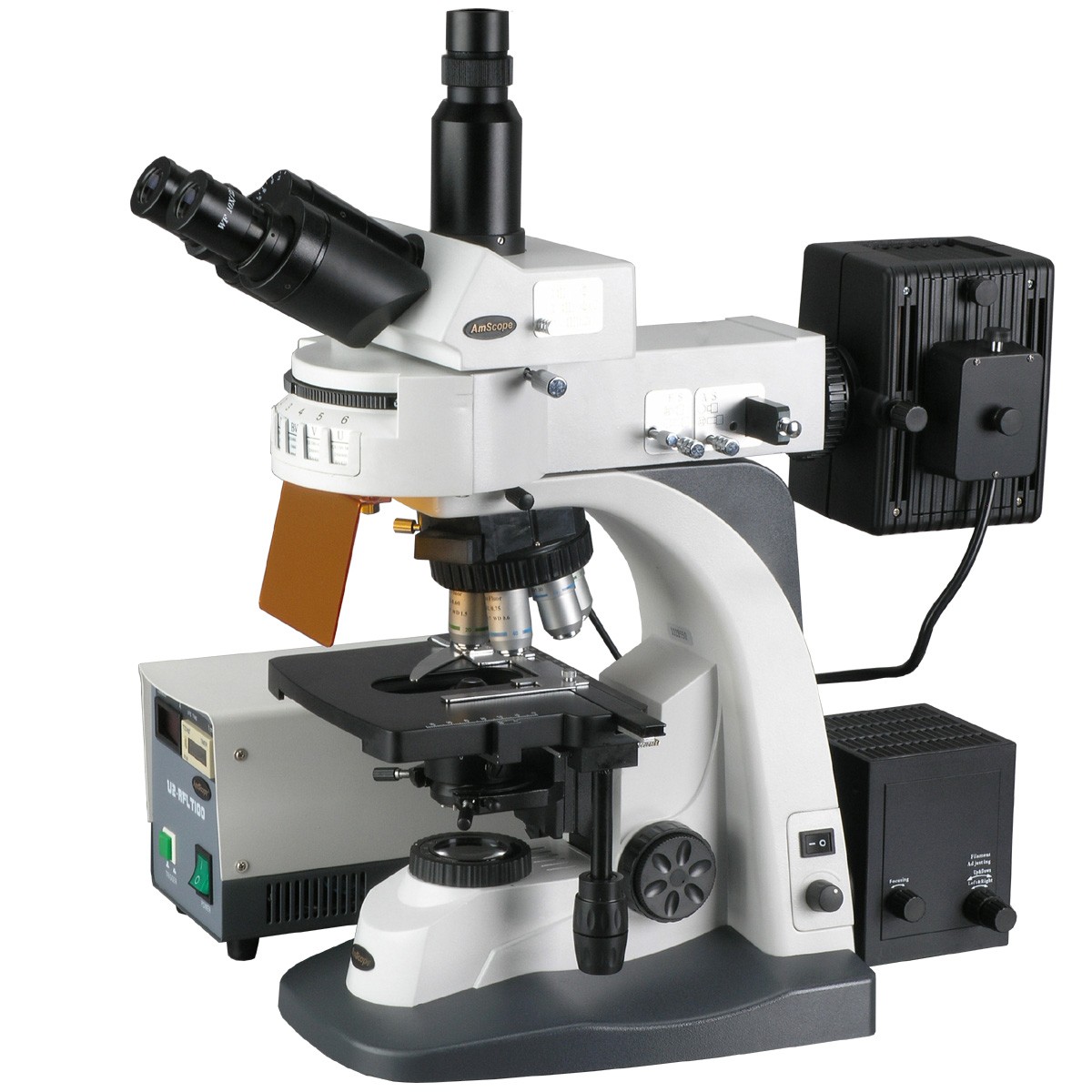 Fluorescence Microscopy.jpg