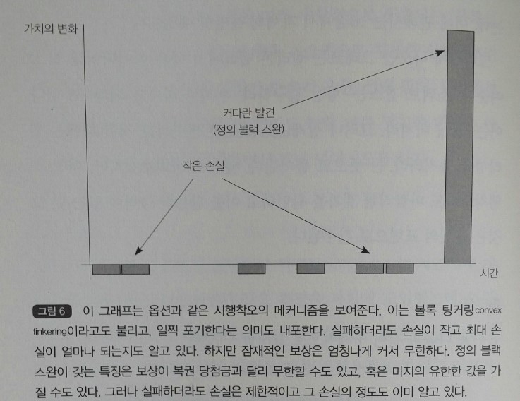 옵션_블랙스완 가치.jpg