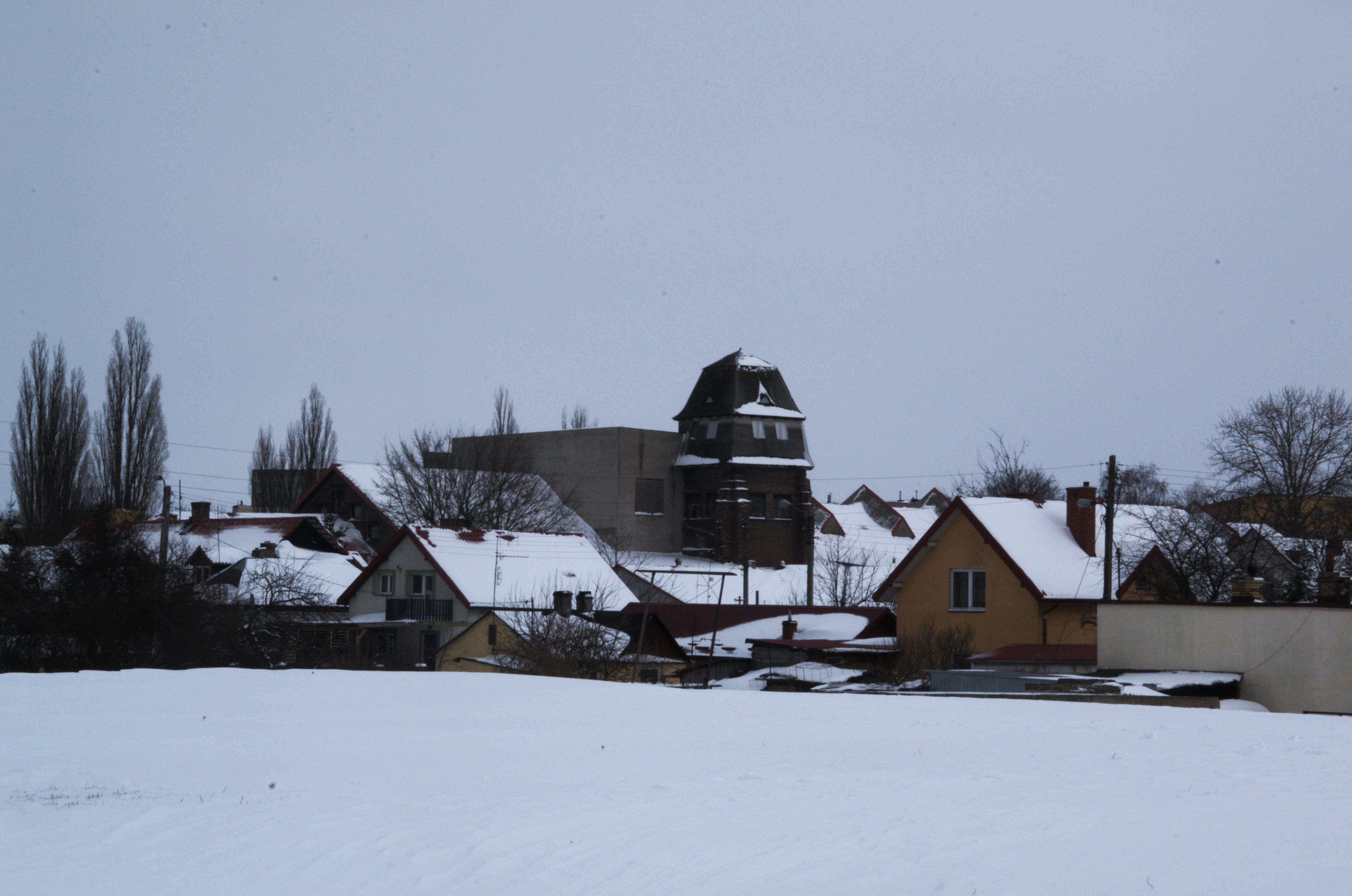 DSC_0514.NEF.jpg