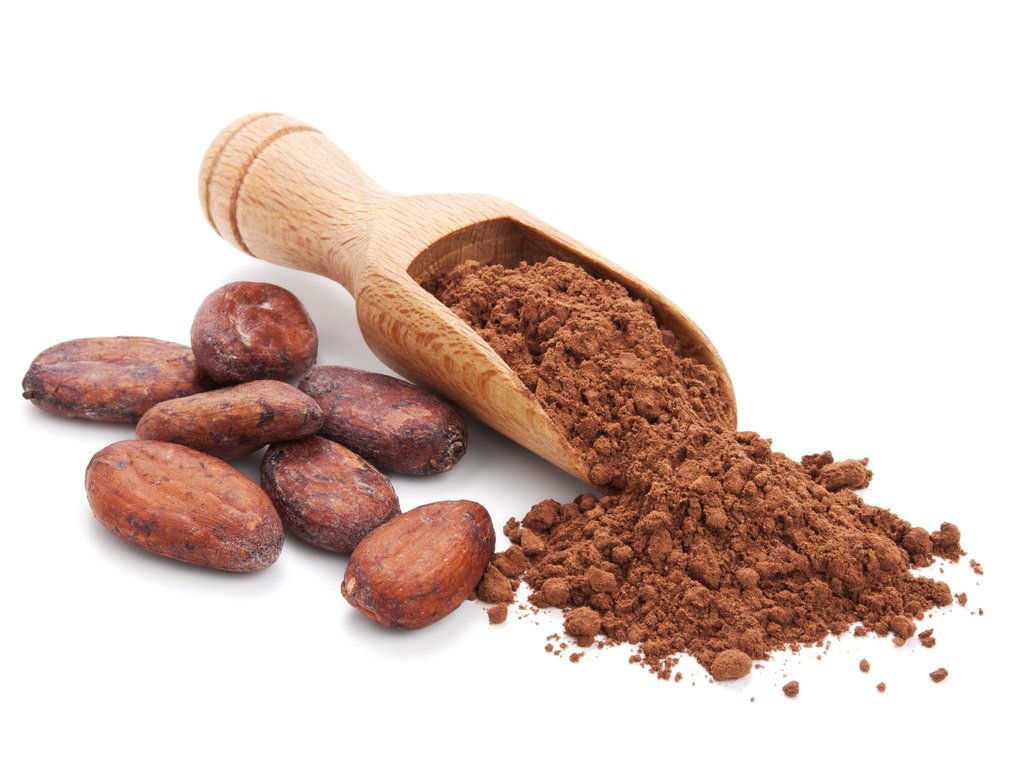 cacaopowder_1024x1024.jpg