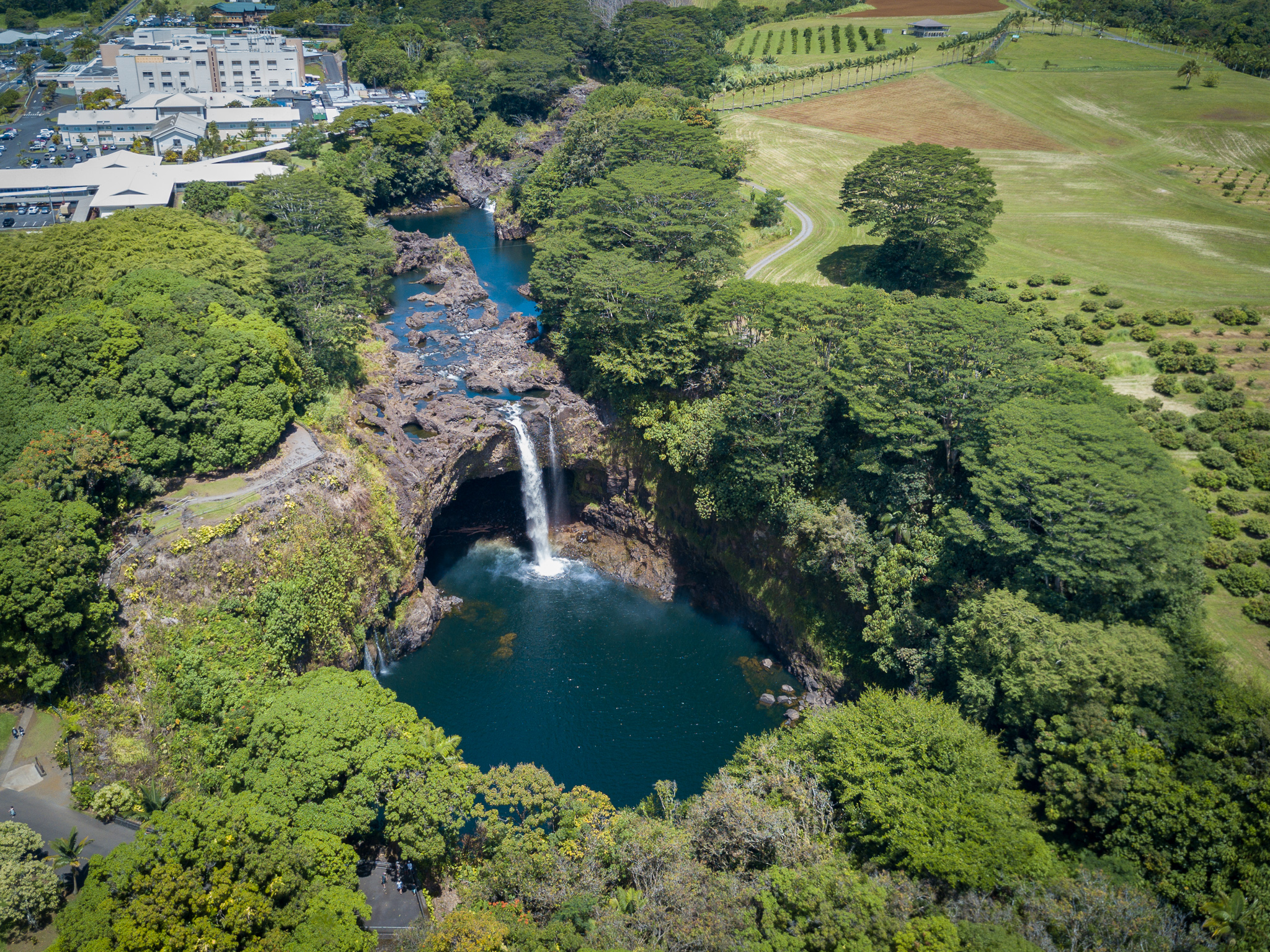 Drone fishing for (Kamanu) Rainbow Runner - Big Island Hawaii Cliff Fishing  