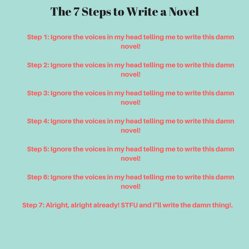 steps to writing a novel meme.png