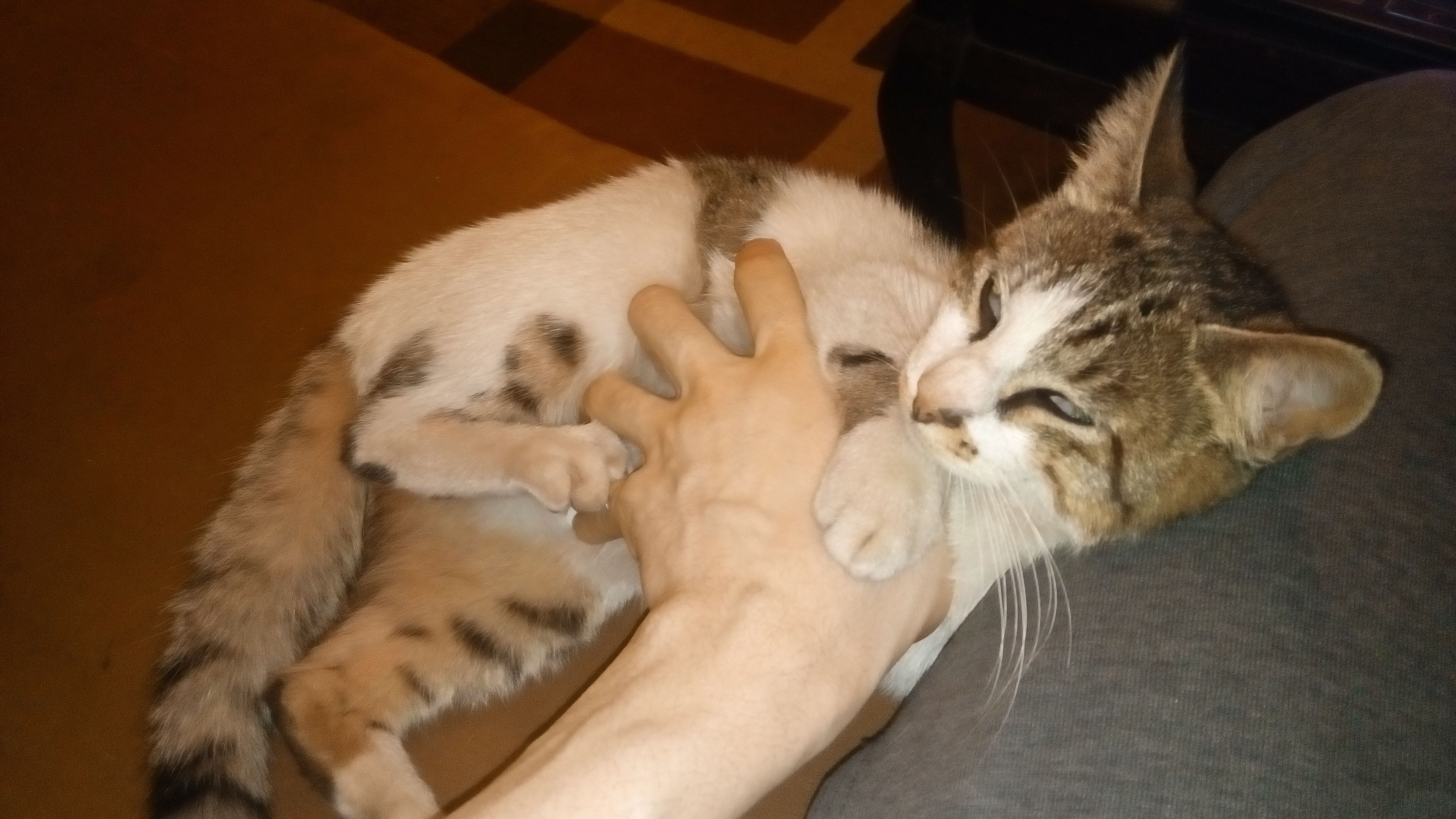pussnme10.jpg