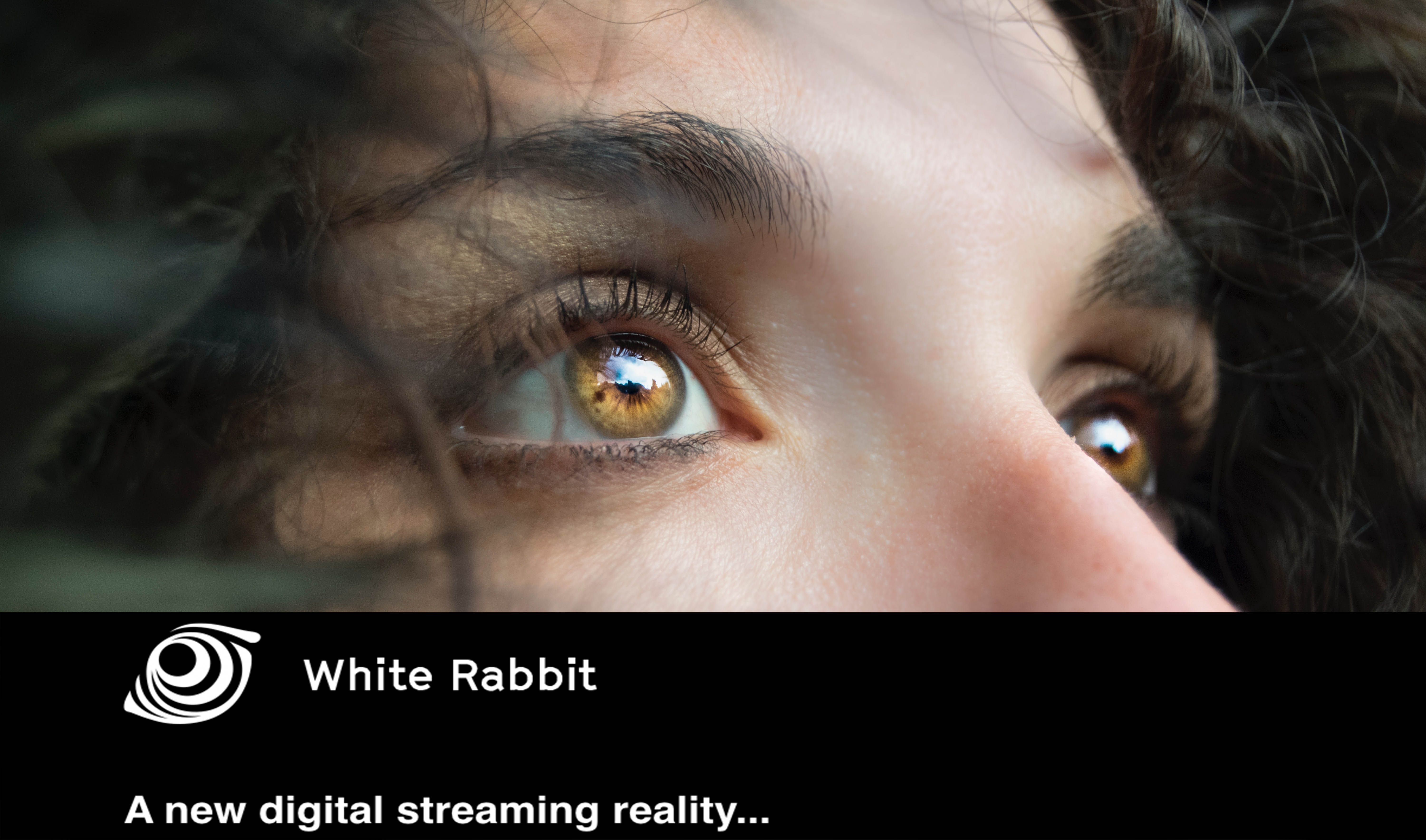 white rabbit.jpg