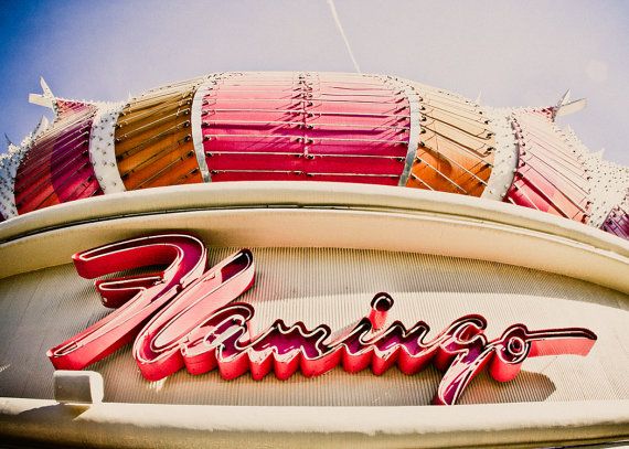 flamingo 2.jpg