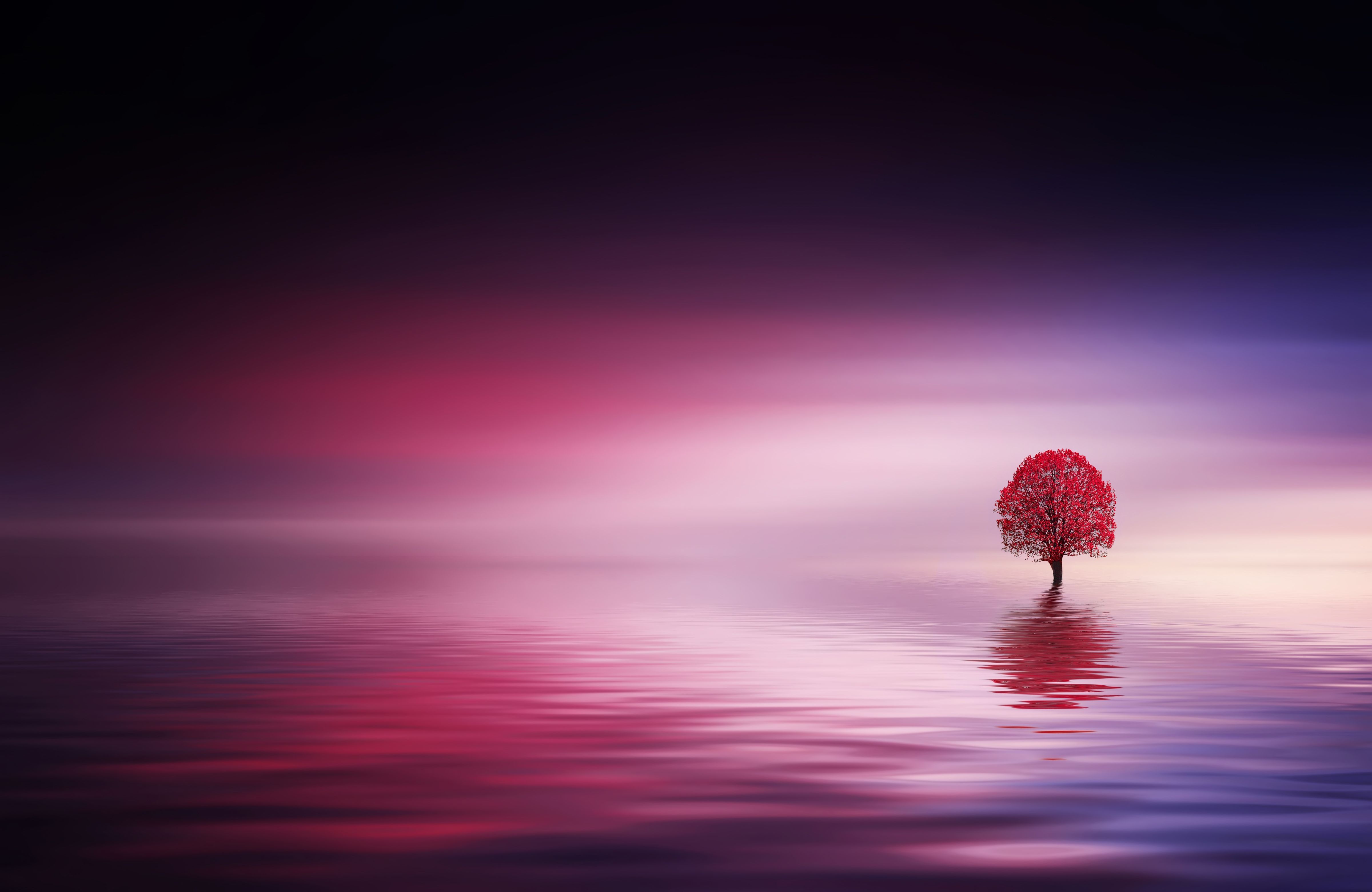 9 Magical tree with red leaves in the lake.jpg