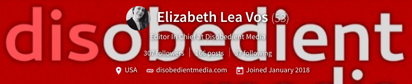 Elizabeth Lea Vos elizbethleavos — Steemit(1).png