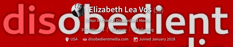 Elizabeth Lea Vos   elizbethleavos  — Steemit(1).png