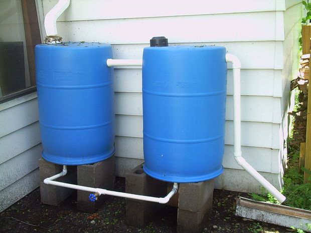 rainwater-collection.jpg