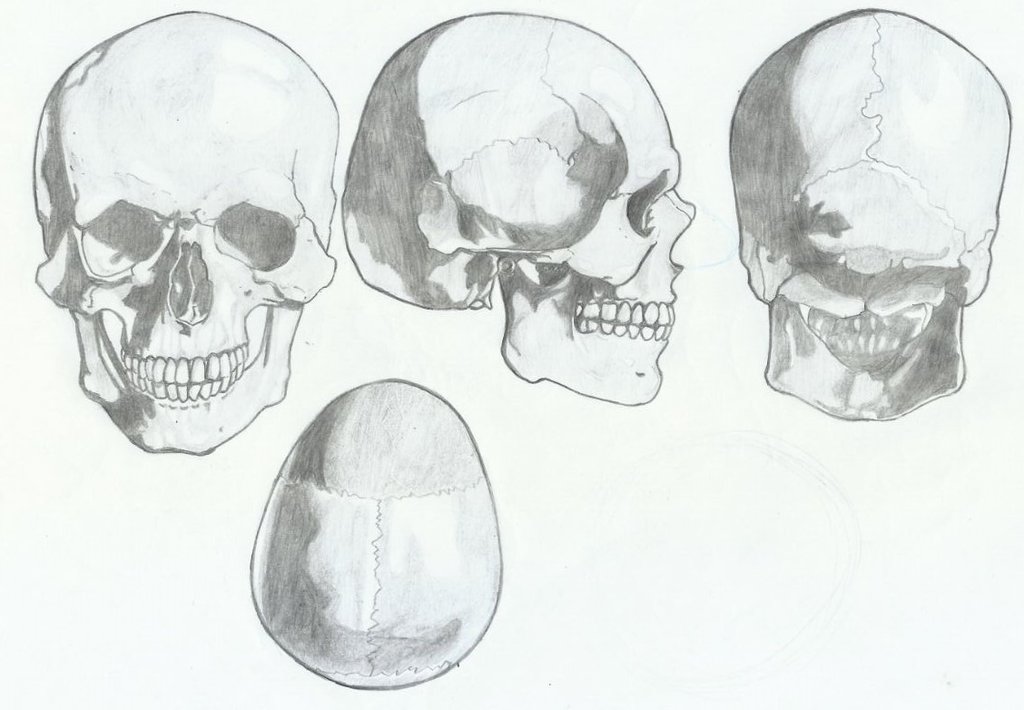 skull_turnaround_by_marcpegini-dbsw5x1.jpg