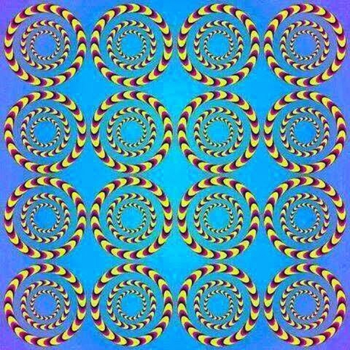 Concentric Circles Optical Illusion.jpg
