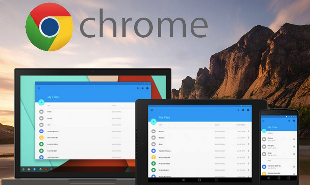 chrome offline review.png