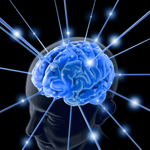 fajb_brain_hacking_01_sep2012.gif