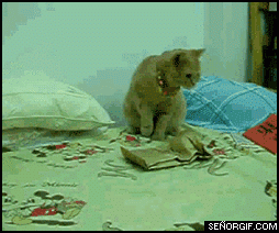 24df8ed1240665e97022c4114d73a700.gif
