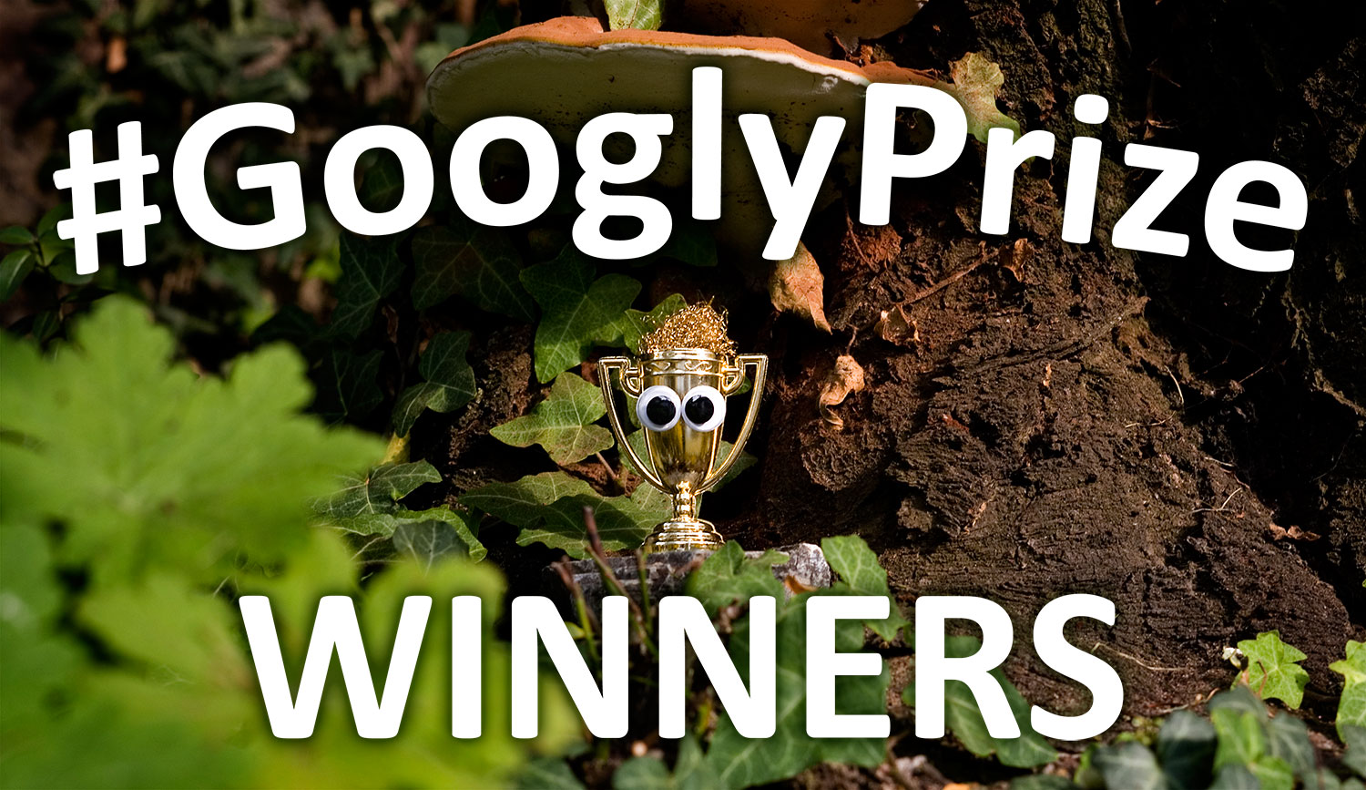 GooglzPriye Winners 13