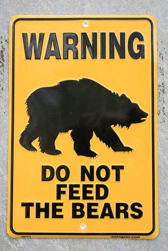 Image result for do not feed the bears