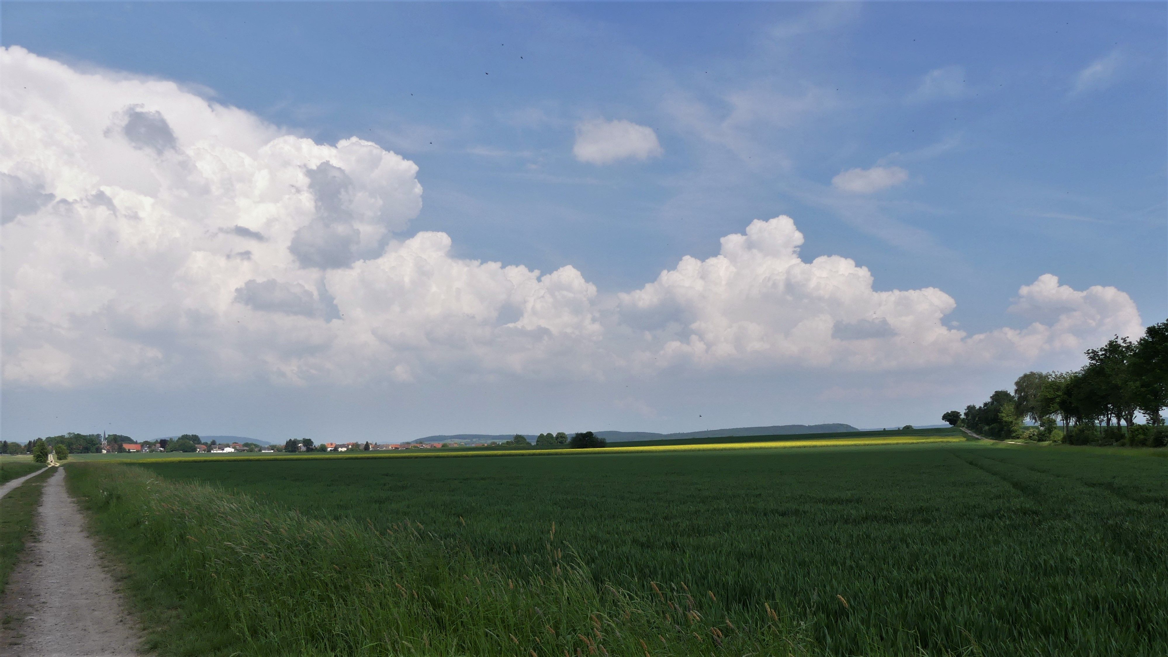 P1040486.JPG