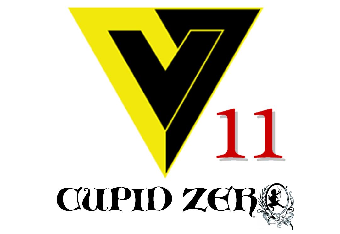 V11.JPG