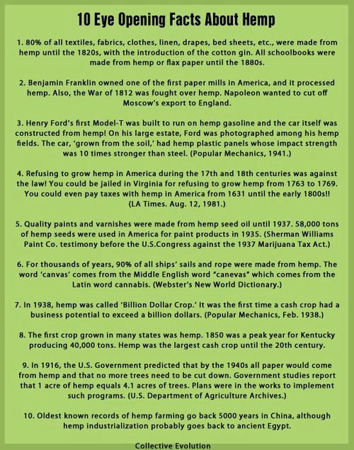10 hemp facts.jpg