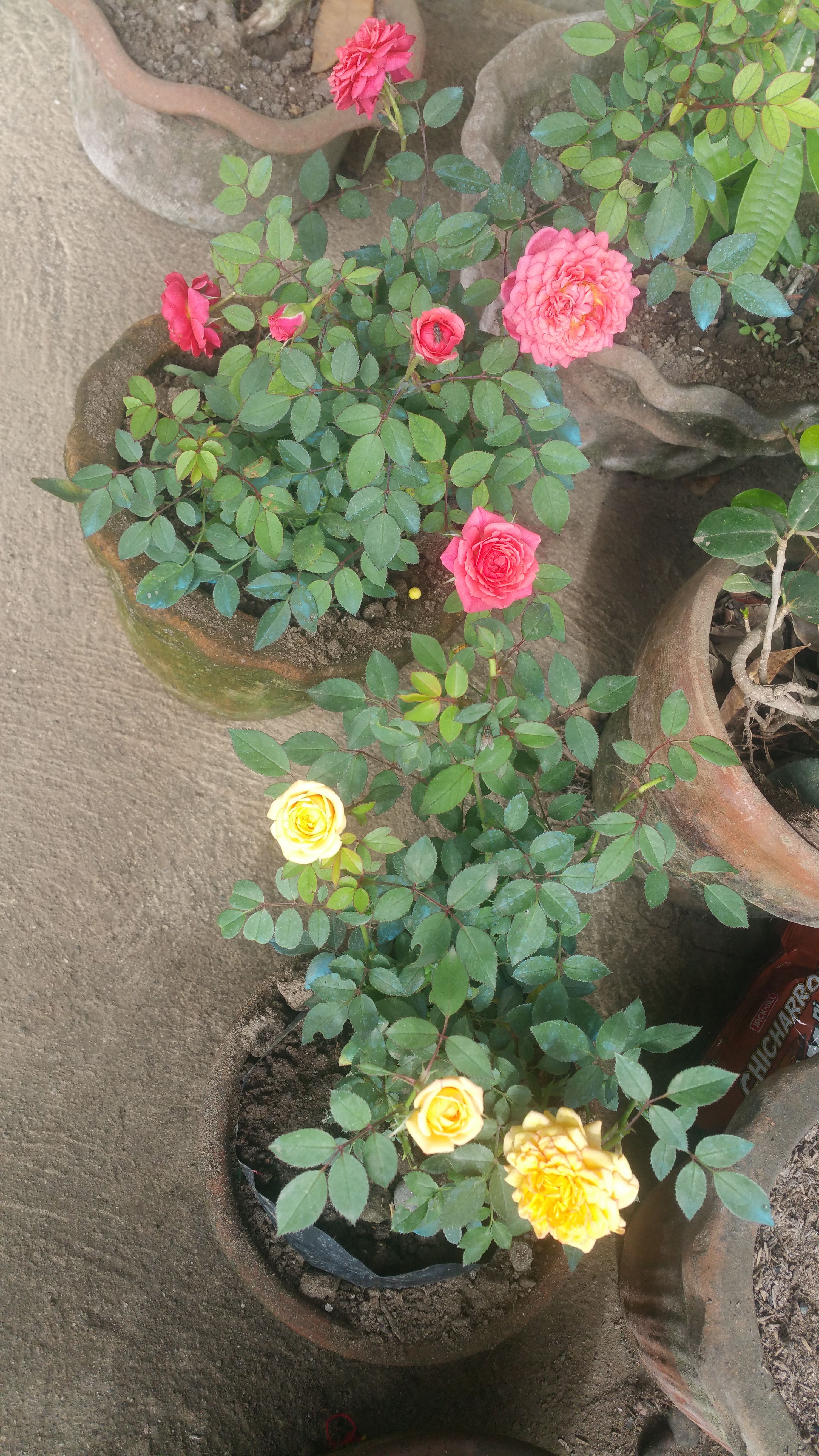 20180312_084347.jpg