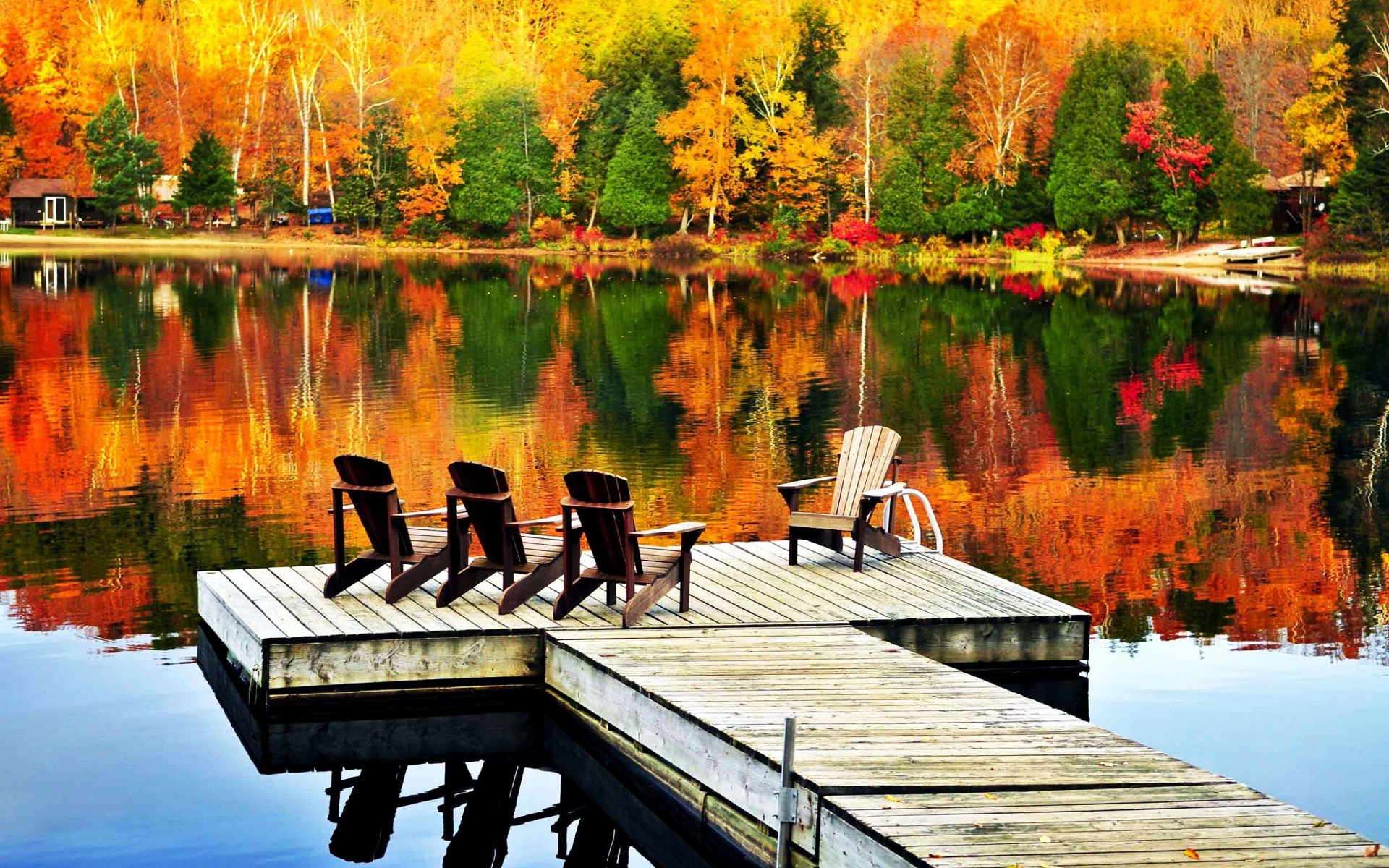 Good-morning-have-a-feel-lovely-nature.jpg