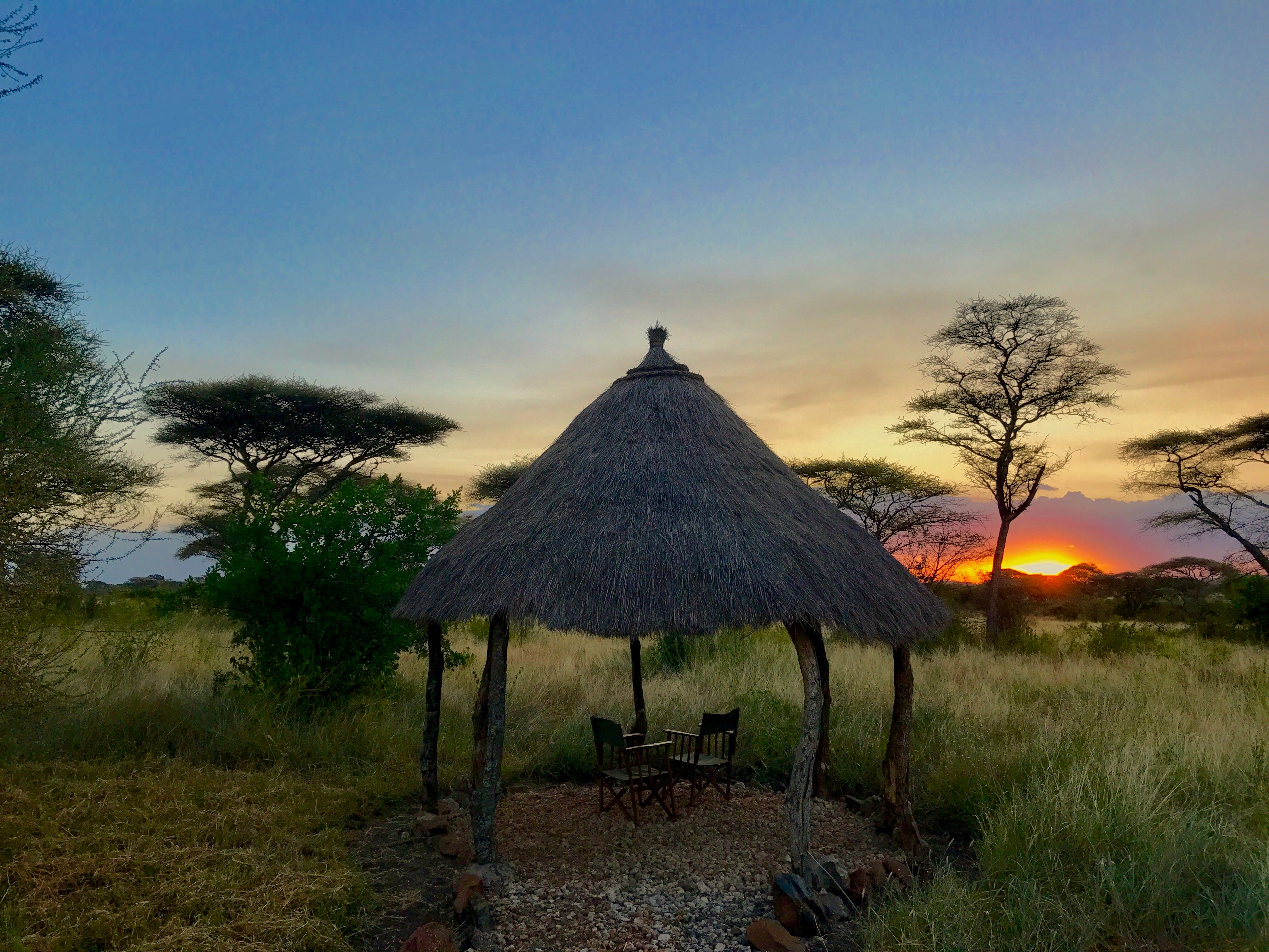 Sunset over Serengeti.jpg