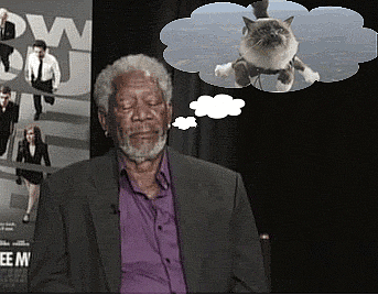 klG0l9x2miZjy.gif