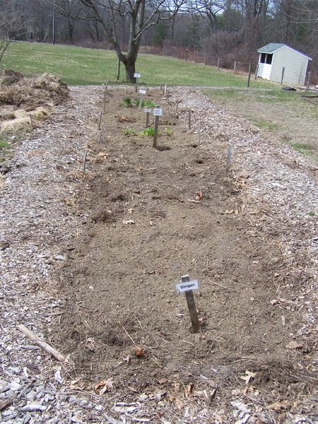 New Herb garden - 7th bed part planted crop April 2018.jpg