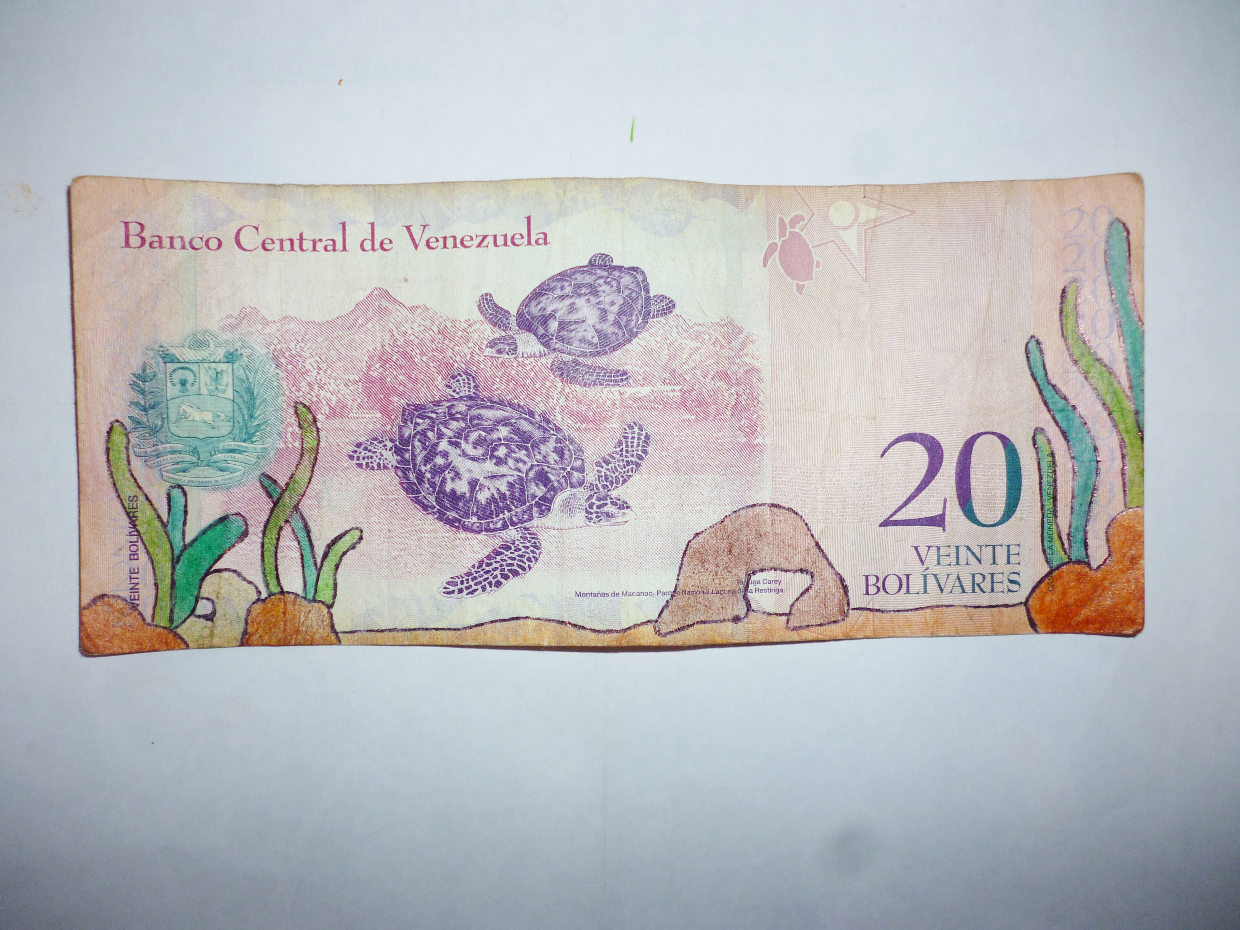 billete4.JPG