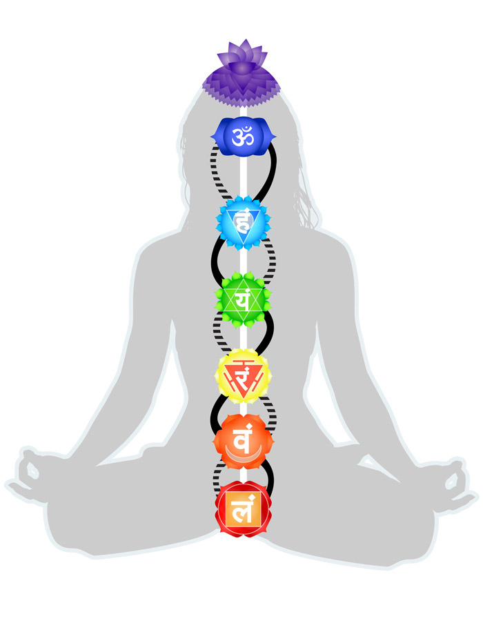 Los-Chakras.jpg