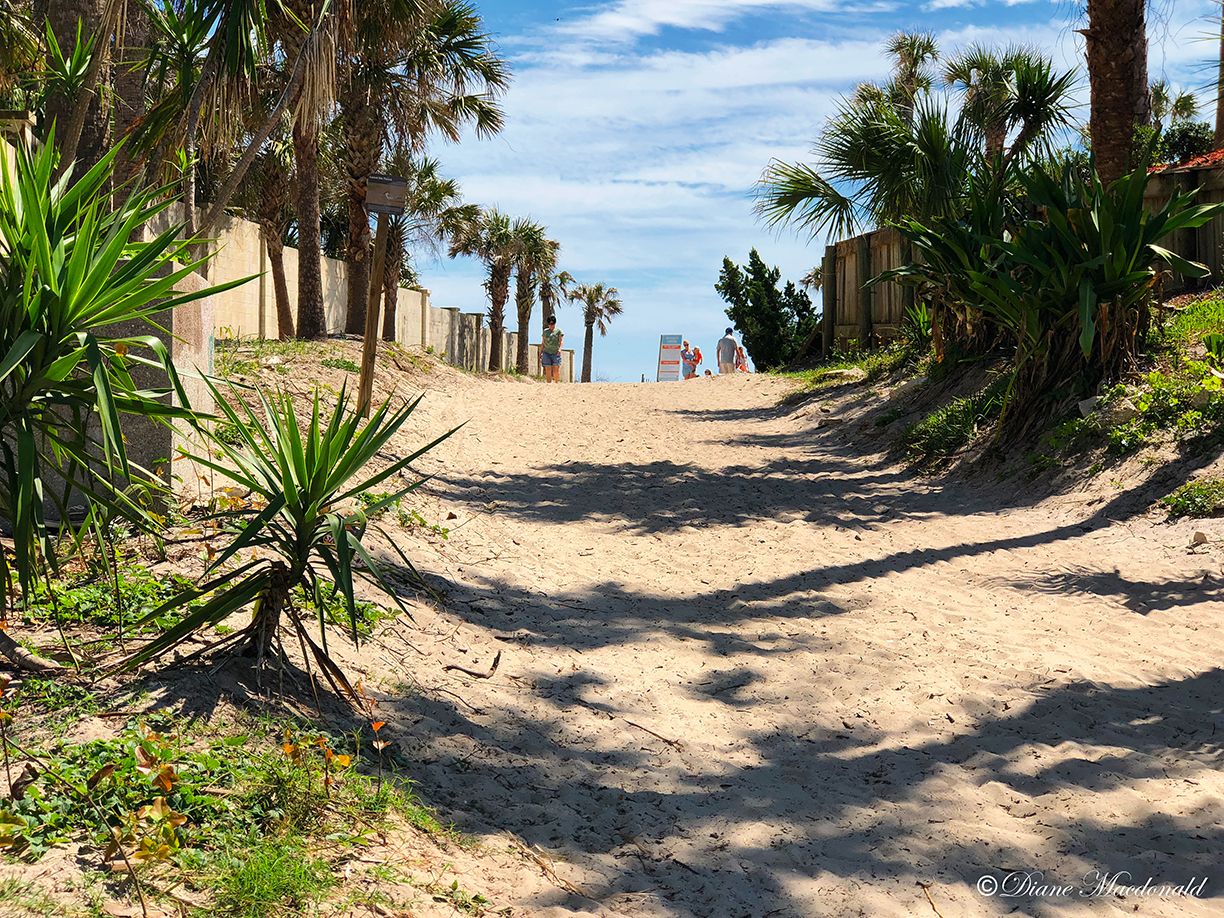 ponte vedra beach-3.jpg