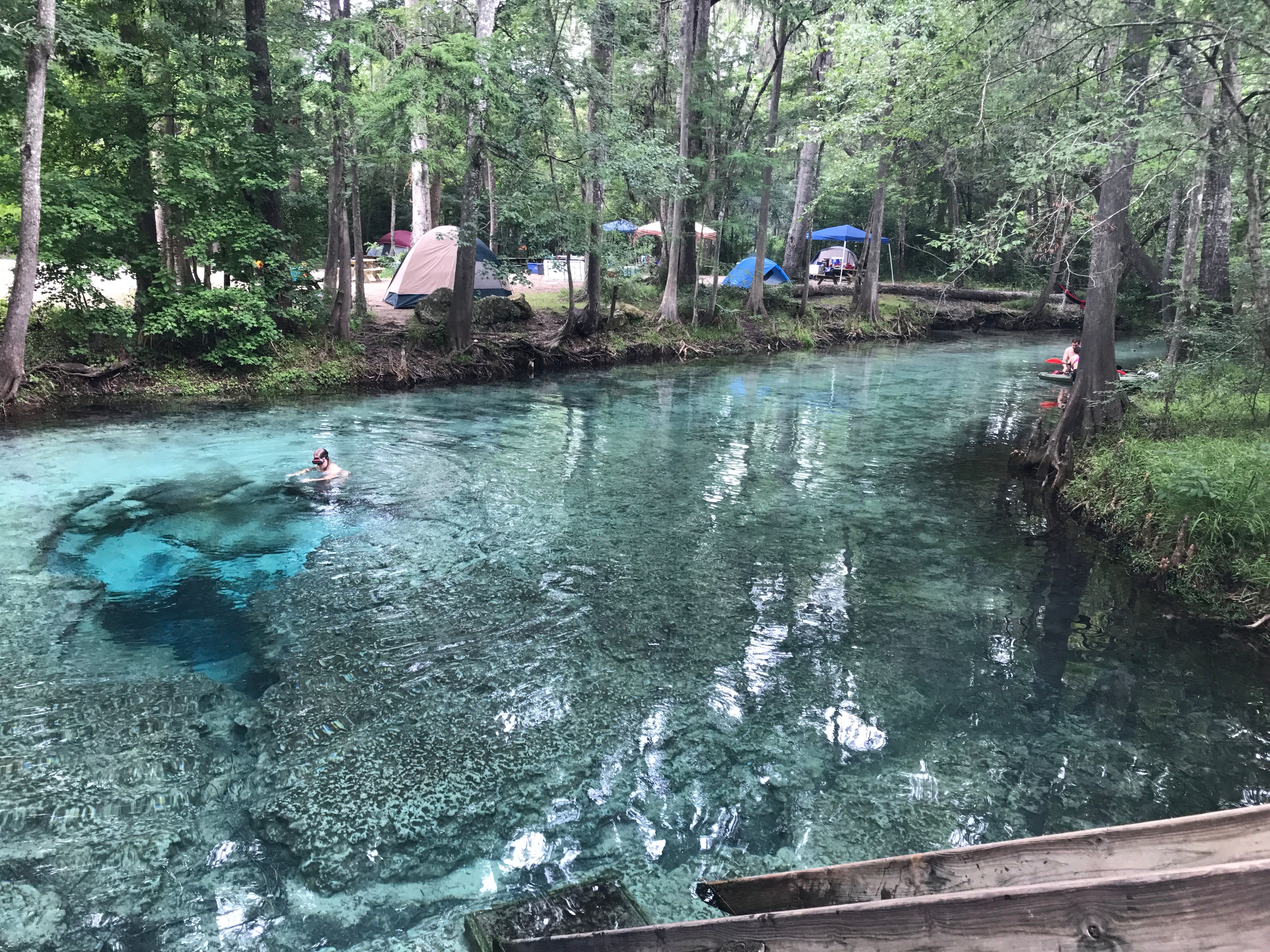 Ginnie Springs Florida Year Round Fun In Crystal Clear Natural