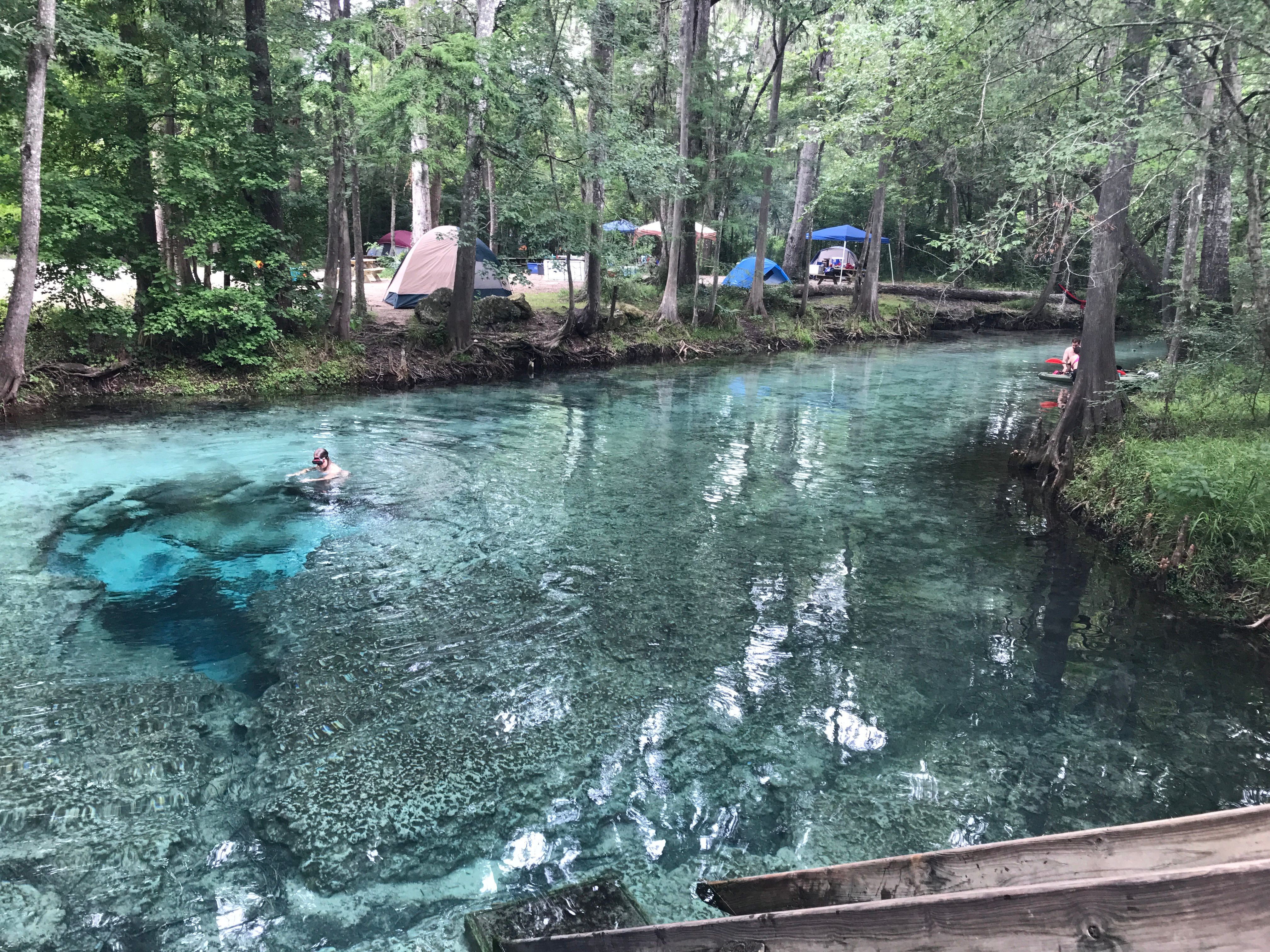 Ginnie Springs - Visit Natural North Florida