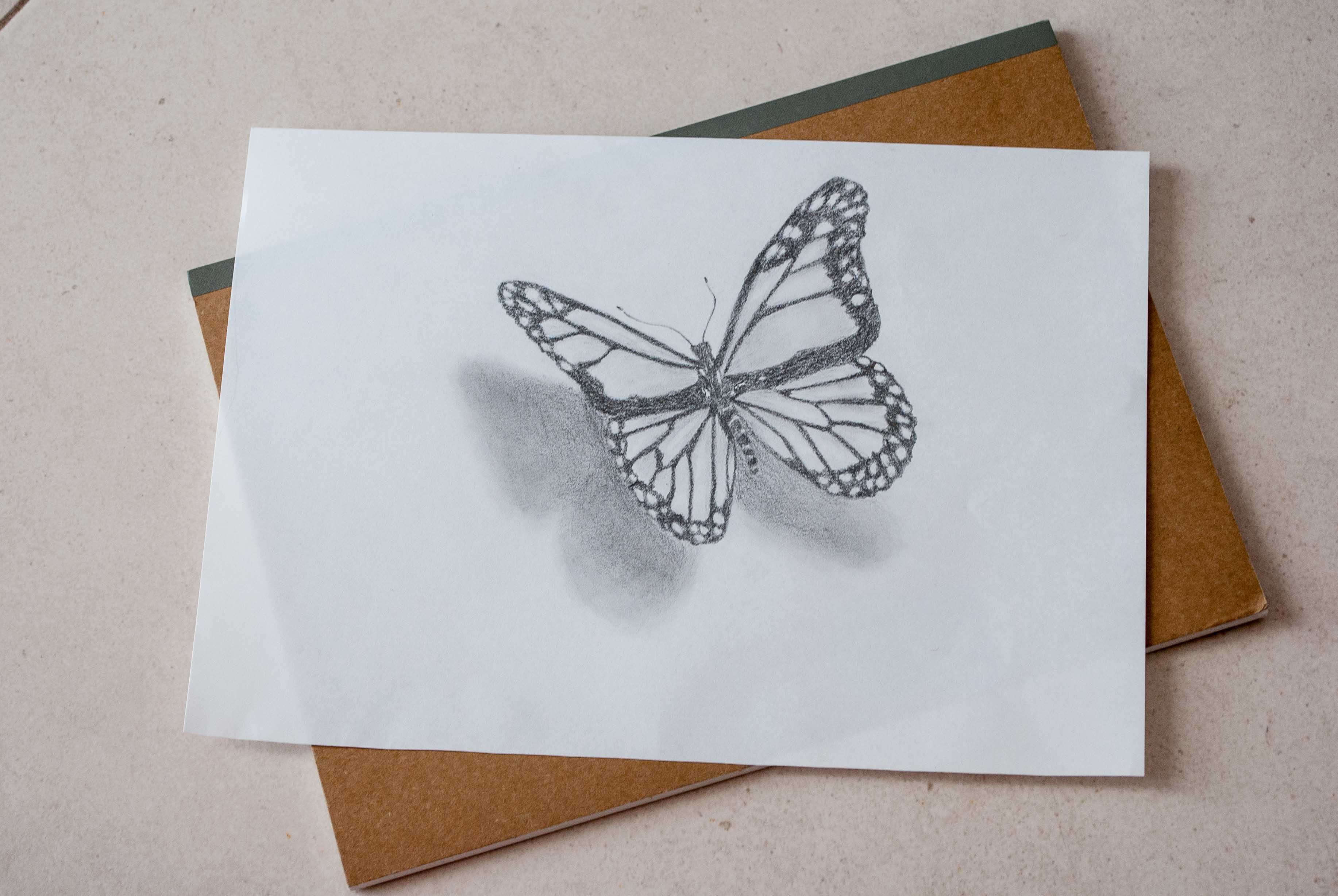 Download Butterfly Drawing In 3d Step By Step Steemit