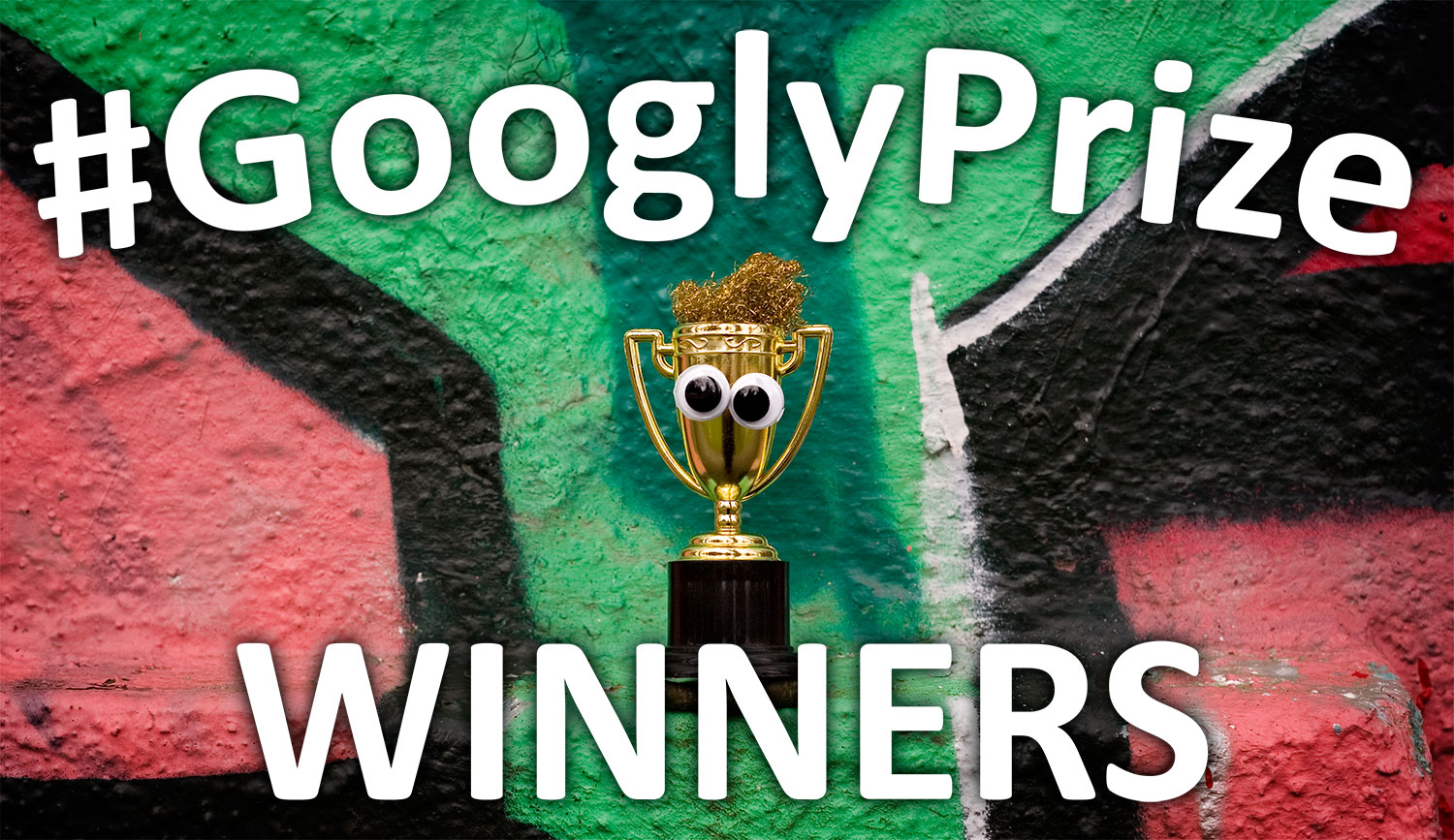 GooglyPrize Winners 29