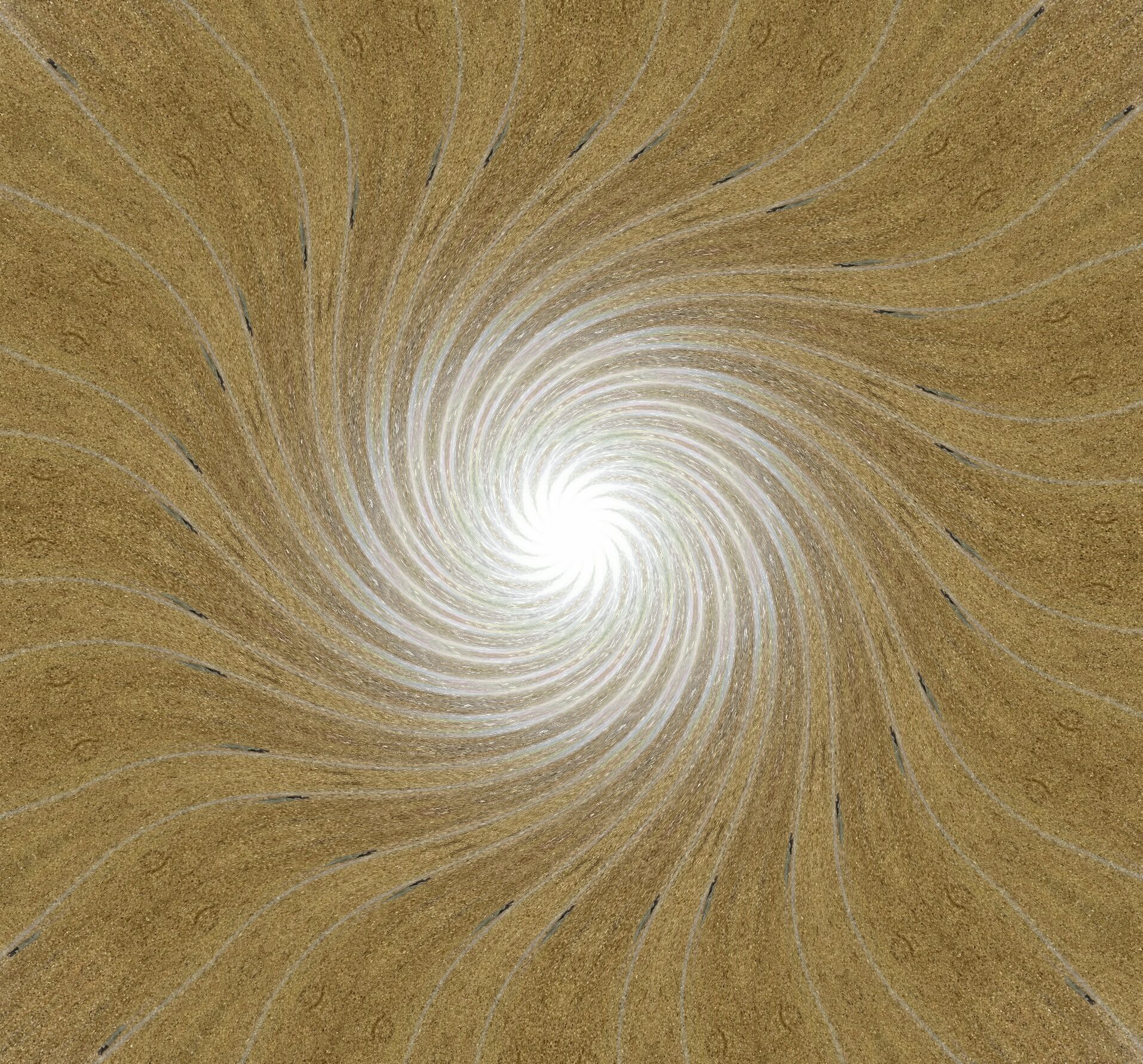 20170614_135348-1_1497655927654.jpg
