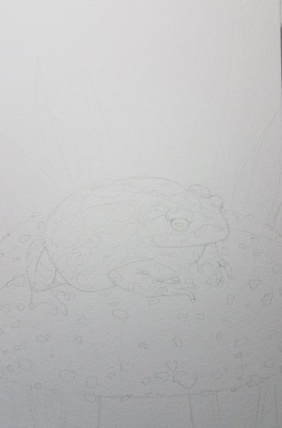 steemit-alphabetartchallenge-day19-enternamehere-toxic-toad-pencil-sketch.jpg