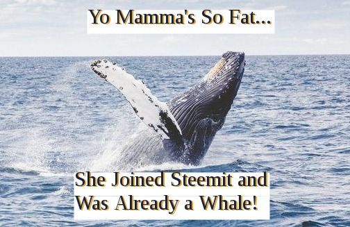 whale meme.jpg