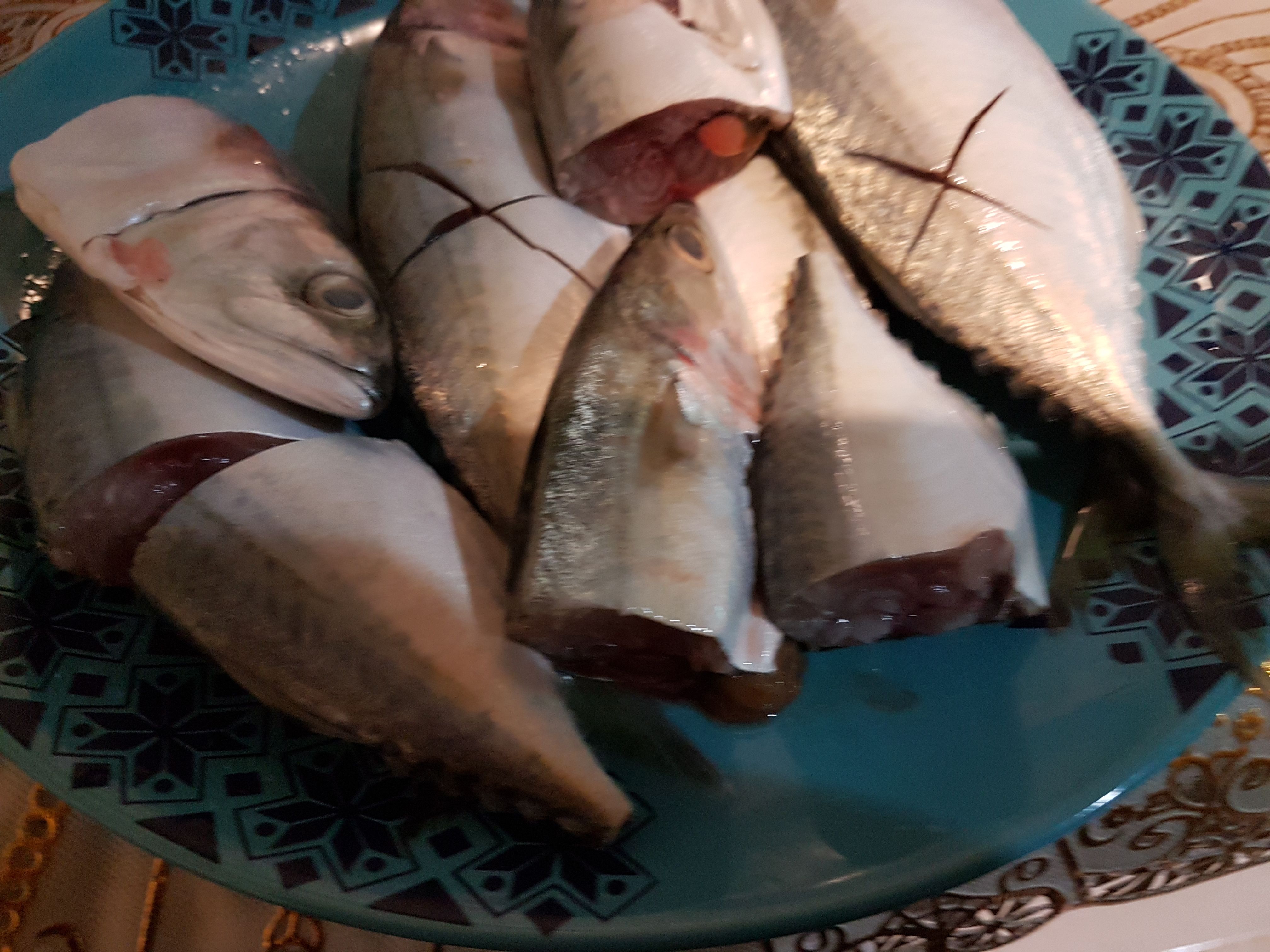 20171128_112858.jpg