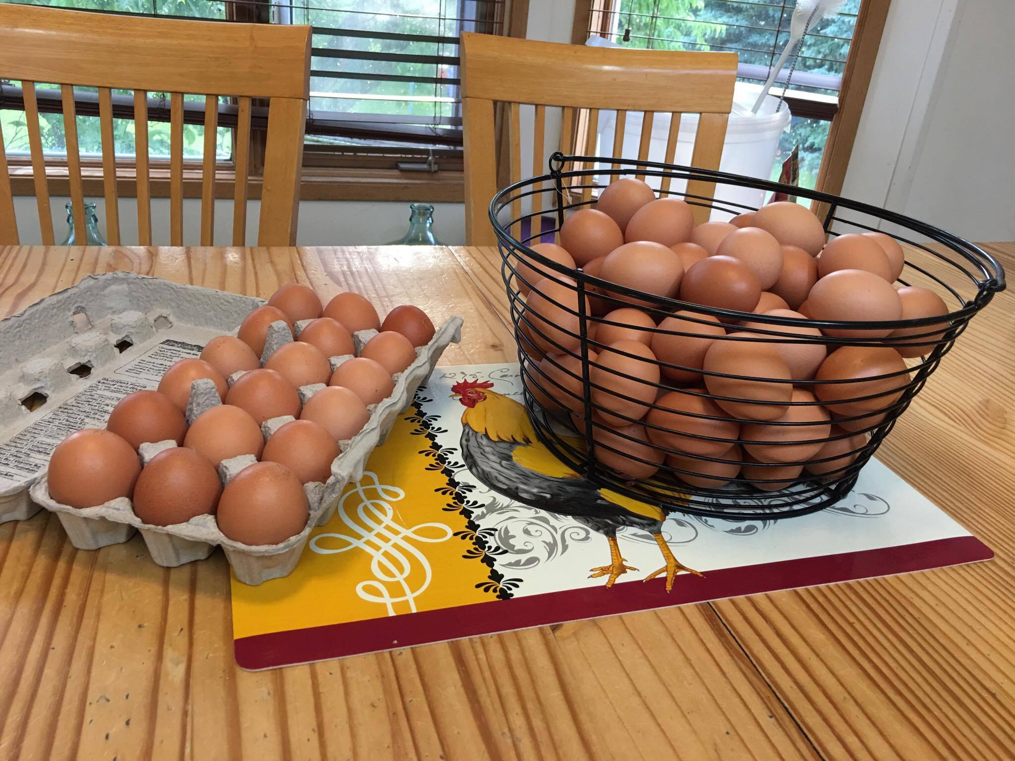 eggs.jpg