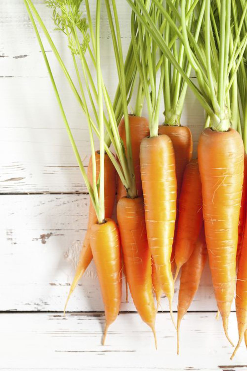 La-carotte.jpg