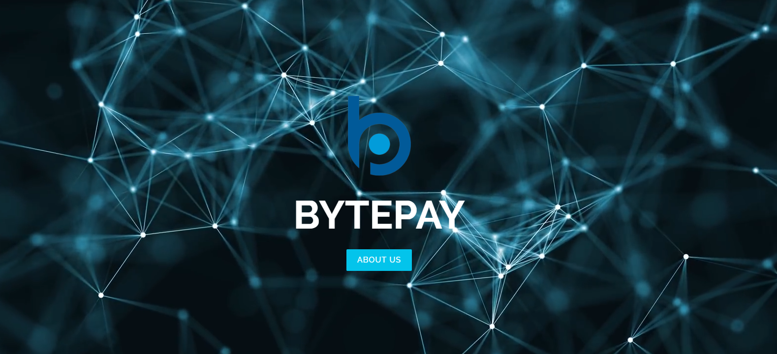 Bytepay1.png