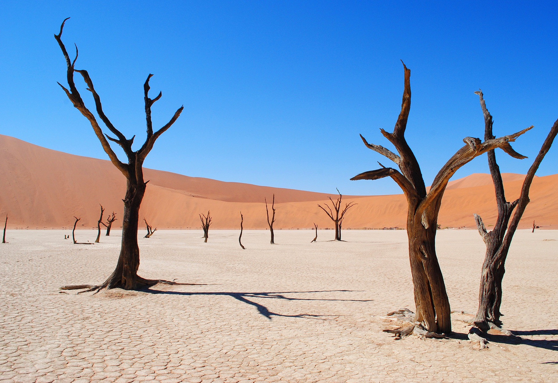 deadvlei-2011373_1920.jpg