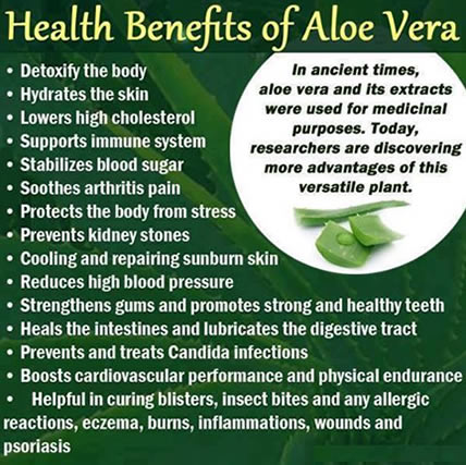 benefits-of-aloe-vera.jpg