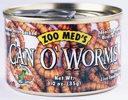 can of worms.jpg